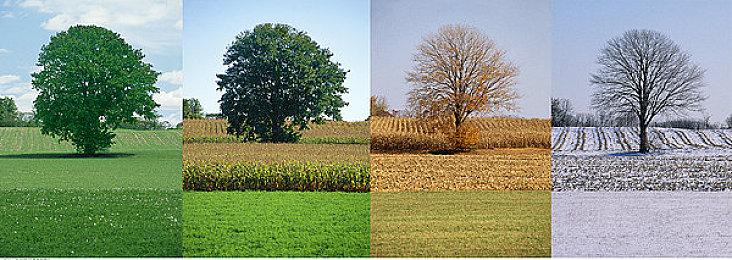 《永劫无间》职业联赛NBPL常规赛第四双周7月17日DAY4赛事