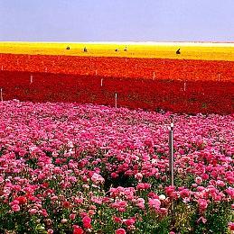 《光环：无限》将至少有四个未公布的DLC